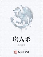 岚人杀