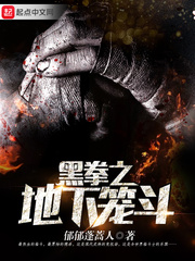 罗阎机战全金属风暴完结篇
