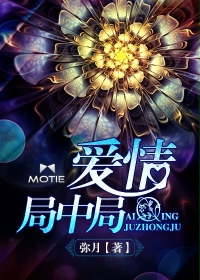 爱情局中局
