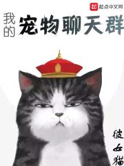 猫大王的聊天群