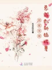 甜蜜宠婚,总裁的新婚悍妻