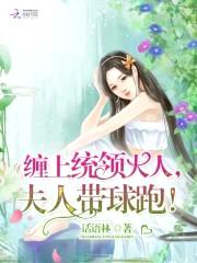 缠上统领大人,夫人带球跑！