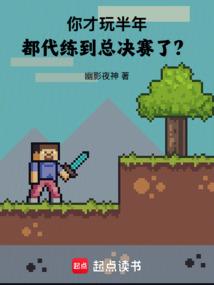 你才玩半年,都代练到总决赛了？