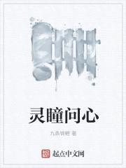 灵瞳问心