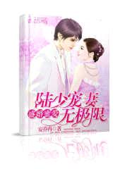 盛婚蜜爱,陆少宠妻无极限