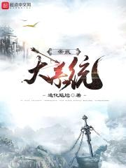 帝武大系统