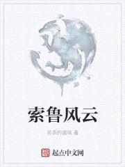 索鲁风云