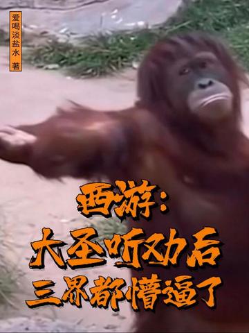 西游：大圣听劝后,三界都懵逼了