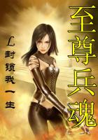 至尊兵魂