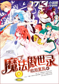 魔法傲世录 小说