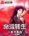 命运转轮[hp