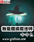 我是大魔法师小说