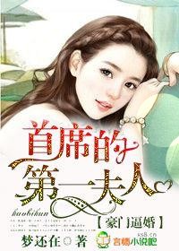 豪门逼婚,首席的第一夫人
