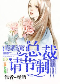 暖婚攻略,总裁请节制！