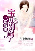 一诺成婚,宝贝别闹了