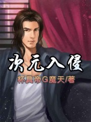 次元入侵